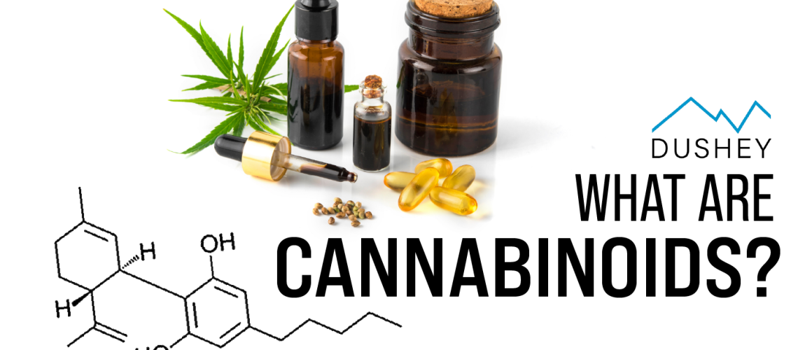 What Are Cannabinoids? Dushey CBD Blog Feature Image